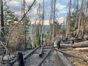 Waldbrand Elbsandsteingebirge